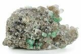 Apple-Green Fluorite Crystals with Smoky Quartz - Fluorescent! #348144-1